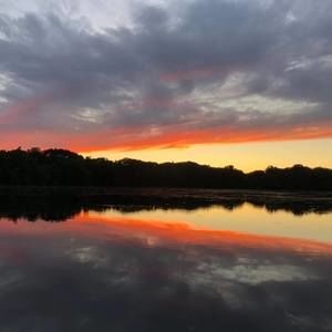 Meet your Posher, Qingjian